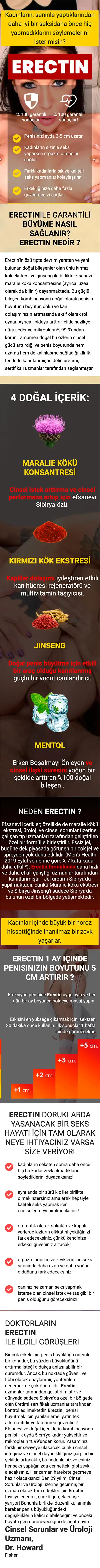 Erectin Açıklaması